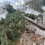 TRAS EL TEMPORAL – La ciudad amaneció con árboles caídos, algunos techos volados y sin heridos