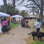 Campaña de adopción canina y vacunación antirrábica