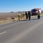 Un camión perdió el cereal sobre Ruta 13
