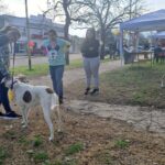 Jornada de adopción canina en El Trébol