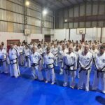 Actualización y capacitación para el taekwondo