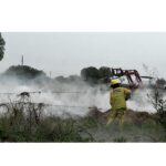 Salida de bomberos por pastizales
