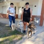 Histórica jornada de salud animal en Los Cardos