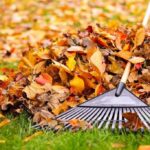 El Municipio ya entrega bolsas marrones para las hojas del otoño